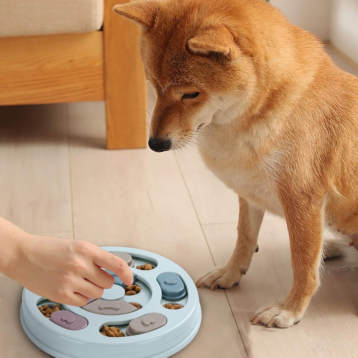 IQ Training Puzzle for Dogs-Mental Enrichment & Treat Dispenser